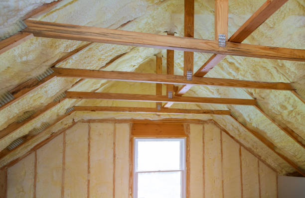 Best Types of Insulation in Westworth Village, TX