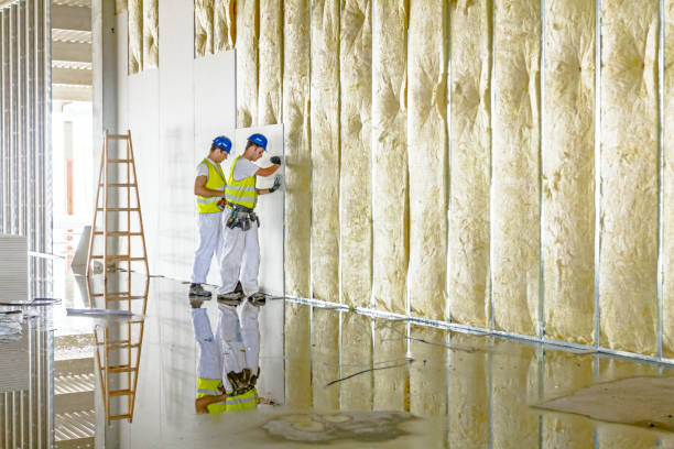 Best Insulation for Specific Applications in Westworth Village, TX